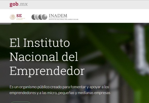 Ahora que murió INADEM, ¿qué sigue para los emprendedores de Sinaloa?