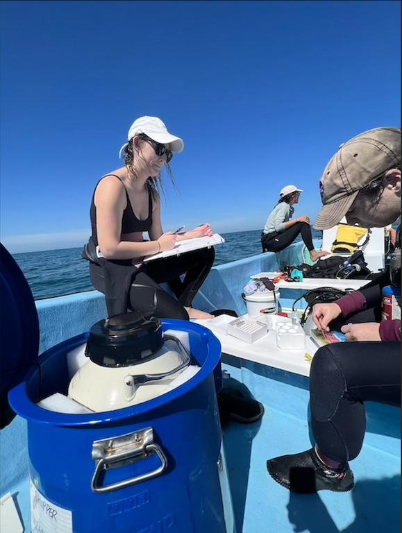 $!La carrera científica por entender la enfermedad que está matando los corales caribeños a pasos agigantados