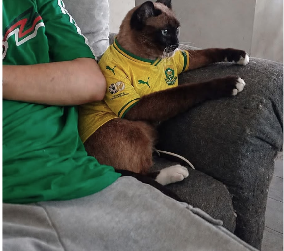 Sinaloenses se ponen la verde para disfrutar del inicio del Mundial 2026