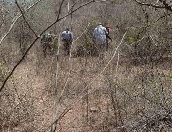 Rastreadoras localizan dos osamentas cerca de Miravalles, al oriente de Mazatlán