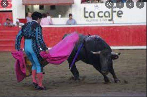 A favor y en contra de la tauromaquia en Sinaloa, Congreso realiza foro animalista
