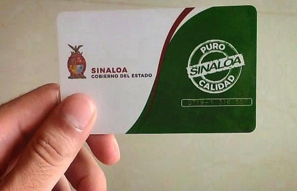 Arranca el 30 de agosto entrega de tarjeta de estudiante para descuento en el transporte público en Sinaloa