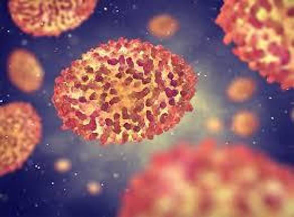 El contacto cercano durante el sexo es una de las vías clave para la transmisión de la viruela símica en el brote actual.