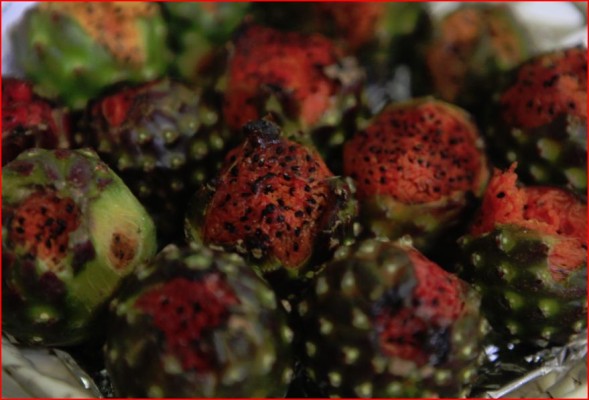 Se acerca la fiesta de la pitaya en Culiacán