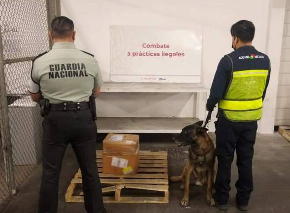 La Guardia Nacional y Aduanas interceptan 23 kilos de aparente fentanilo procedente de Hong Kong