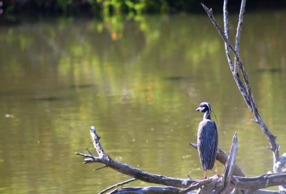 Sectur impulsa nuevos proyectos turísticos para reactivar la economía de Sinaloa