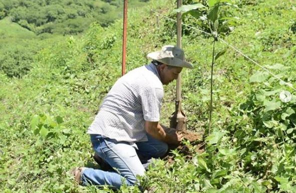 El señor Clemente Díaz de la comunidad de Tamba, trabajan en el diseño y trazo para el establecimiento de una plantación con fines de agroforestería. Foto: Tomada de Instagram de Conselva.