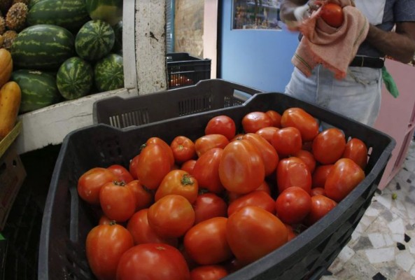 La revisión aduanal del 100% al tomate mexicano es necedad de Florida, denuncian productores