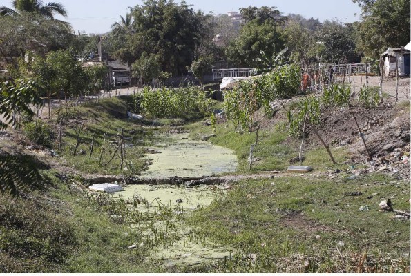 Aumentan 10 por ciento casos probables de dengue en Sinaloa
