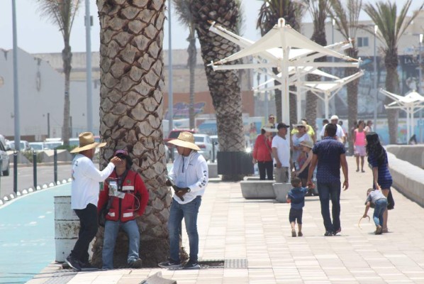 Niegan operadores turísticos que acosen a turistas en Mazatlán