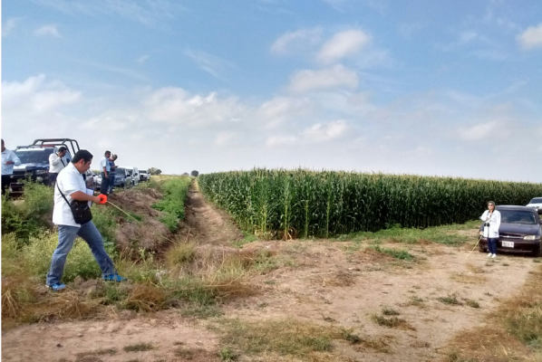 En Sinaloa, una de cada 10 mujeres desaparecidas es encontrada asesinada: Fiscalía