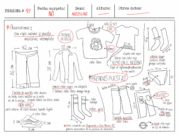 Donde el Estado no registra, la ciudadanía documenta: fosas clandestinas, crisis forense y resistencia ciudadana