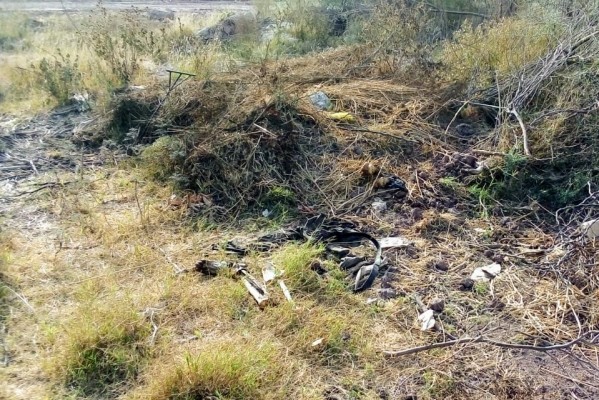 Rastreadoras localizan restos humanos en Los Mochis