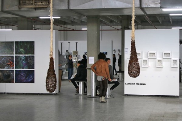 El curador es, en nuestros días, el autor intelectual de una exposición.