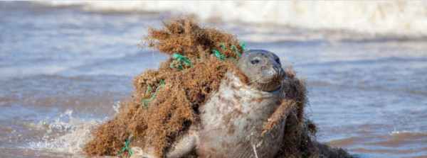 Foto: Ian Dyball – Shutterstock.com