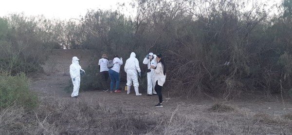 Hallan dos cuerpos más en fosas clandestinas de Juan José Ríos, Guasave