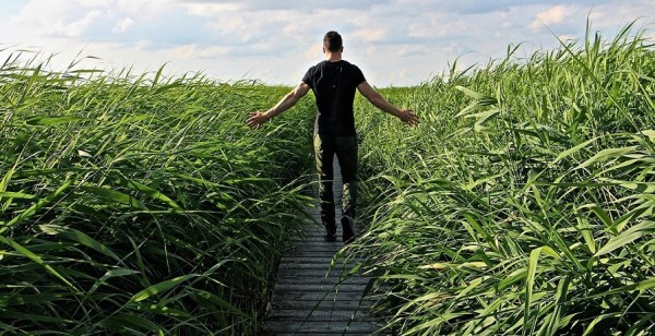 Sal de los mismos lugares: visita el mar, la naturaleza, el jardín, viaja, contáctate con los maravillosos seres vivos a tu lado.
