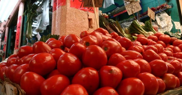 Tomateros mexicanos piden a la Sader medidas espejo para EU por imponer aranceles del 17.5%