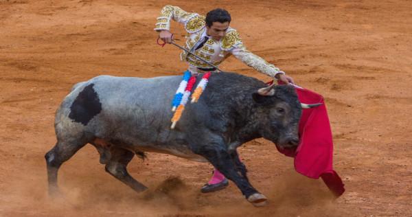 La SCJN definirá el futuro de las corridas de toros.