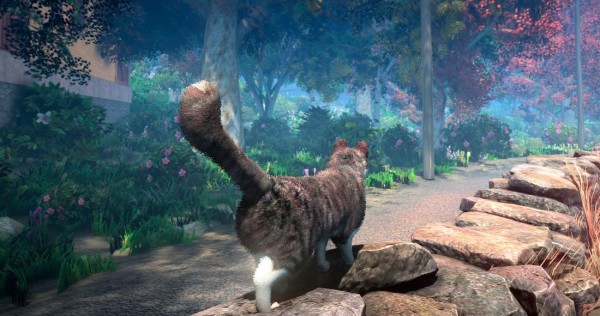 BITS | Peace Island, el videojuego para los amantes de los gatos que los hará resolver misterios