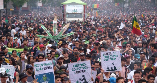 "Miles marchan en la CdMx por la legalización de la mariguana para uso ...
