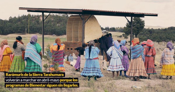 Ni Bienestar ni Sembrando Vida se aparecen. Los rarámuris esperan desnutridos… con agua y Maseca