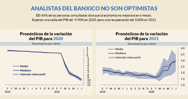 Especialistas consultados por el Banxico amplían a -9.90% la caída del PIB en México durante 2020