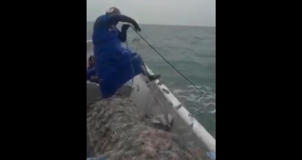 En redes sociales circula video de pescadores capturando camarón en plena veda