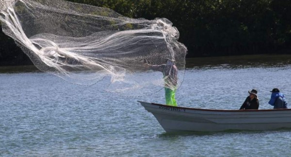 Congreso busca 'amarrar' recursos para pesca con el Gobernador