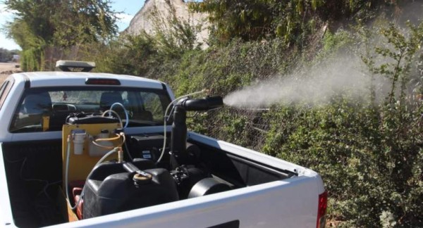 Muere niño de 7 años en Escuinapa por dengue grave