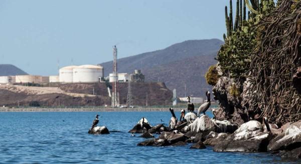 Los jueces no están capacitados para evitar daños ambientales, revela investigación