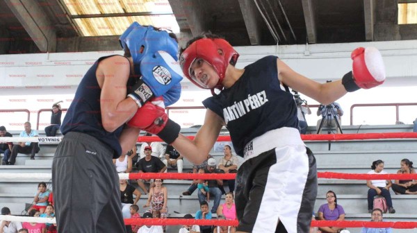 Surgen nuevos monarcas del Torneo de Box Amateur de Canal 7