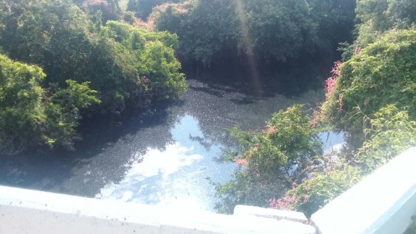 Descarta empresa realizar derrames de aguas negras a arroyo