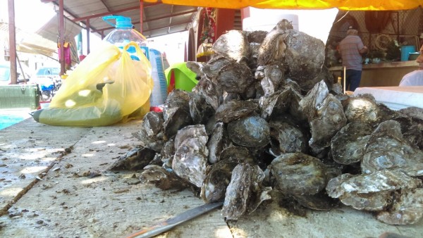Llaman a evitar el consumo de moluscos, en Escuinapa