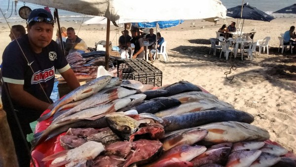 Buscan en Playa Norte saciar el paladar de los turistas