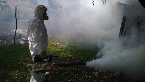 Concordia combate al dengue, zika y chikungunya