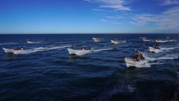 Atacan furtivos embarcación de Sea Shepherd en refugio de la vaquita marina