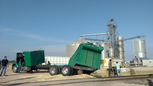 Impacta el tren a camión tipo torton cargado con maíz en la comunidad de El Corazón sindicatura de Costa Rica