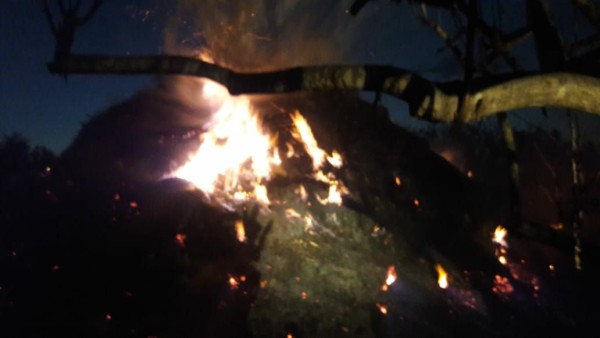 Se incendia bodega de alimento para ganado en Mesillas municipio de Concordia