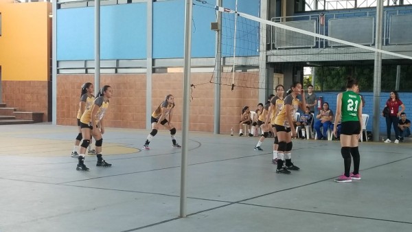 Se queda Tigres Sebec con la cima