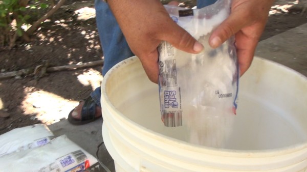 Produce penal de Aguaruto casi 3 mil litros de cloro y los distribuye para limpieza por Covid-19