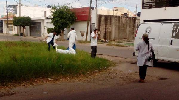 Según el último censo oficial realizado en la CDMX sobre la situación de las poblaciones callejeras, en 2018, el 22% de las 6 mil 754 personas.