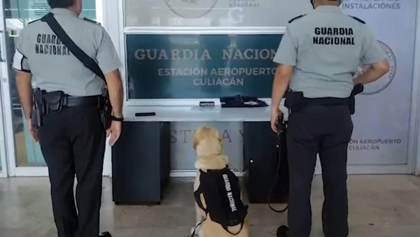 Guardia Nacional asegura 115 pastillas de fentanilo en Aeropuerto de Culiacán