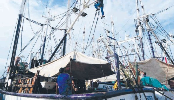 En Mazatlán, la flota camaronera saldrá a pescar con diésel caro