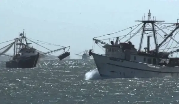 Con estas acciones se pretende detener la pesca ilegal a fin de conservar las especies marinas y dulceacuícolas.