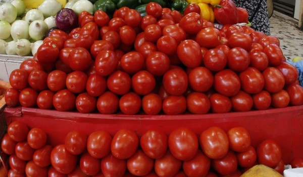 Plantean diputados del PRI y Morena defender a productores de tomate