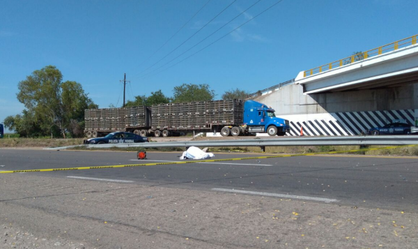 Arrolla automóvil y mata a agente federal en la Autopista Mazatlán-Culiacán
