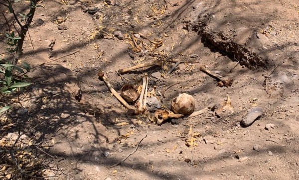 En Rosario, hallan restos humanos en una fosa