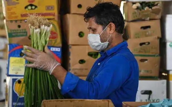 La pérdida de empleos formales coloca a Sinaloa como la entidad más afectada en el País durante los primeros nueve meses de 2025.