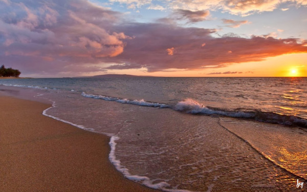 Las mejores playas para visitar en Sinaloa